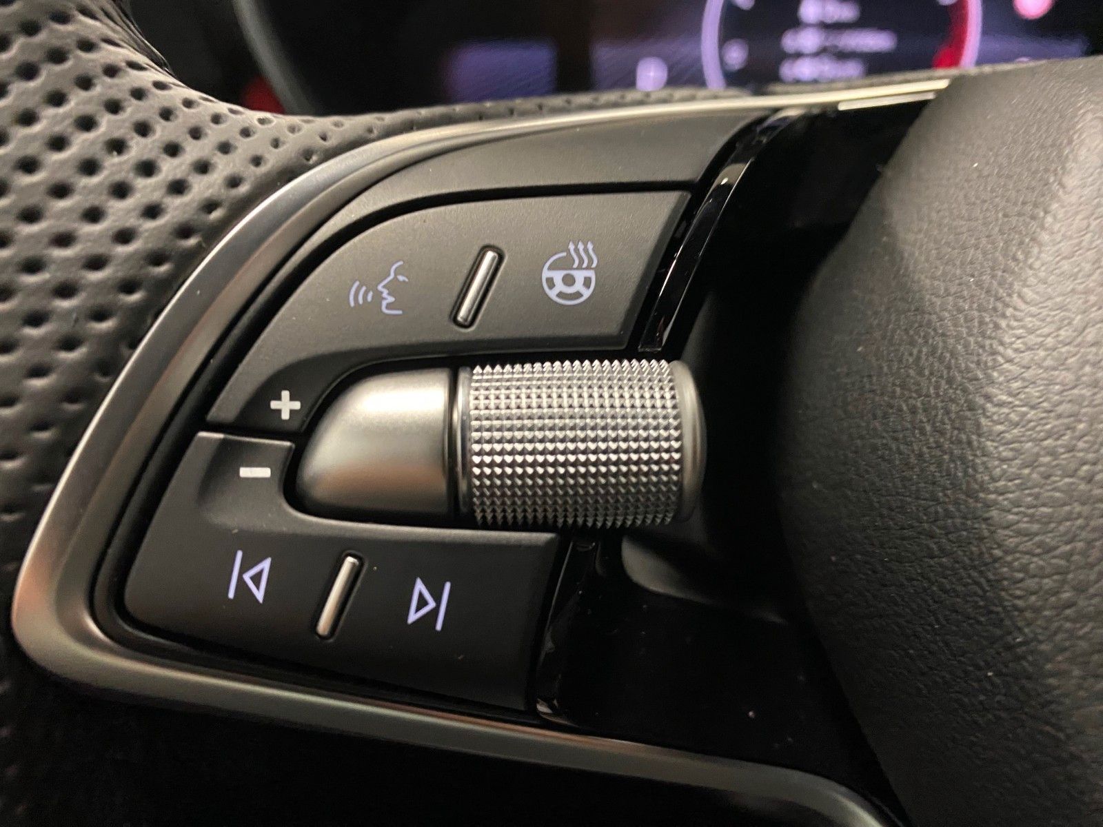 Fahrzeugabbildung SKODA Fabia 1.0 TSI DSG Monte Carlo+KAMERA+AppCon+PDC+