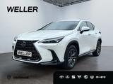 Lexus NX 350h Business Line *Bi-LED*360°*Leder*el Heck - Lexus aus 2024: Nx