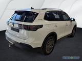 Volkswagen Tiguan 1.5 eTSI Goal ACC AHK Matrix Navi 360° - Volkswagen Tiguan GOAL mit Benzin-Antrieb