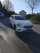Mercedes-Benz A 160 CDI - weiß 1.5 ,Diesel - Mercedes-Benz A-Klasse: Die