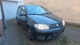 Fiat Punto 1,2 Benzin **Klima ** 015731222421 - Fiat Punto in Essen