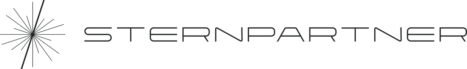 Logo STERNPARTNER SE & Co. KG