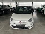 Fiat 500 1.0 DOLCEVITA Hybrid/15Z/TECH+PA/BICOLOR - Fiat 500 Tageszulassungen mit Benzin-Antrieb