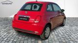 Fiat 500 1,0 MHEV Pop DAB Klima - Fiat 500 Pop mit Benzin-Antrieb