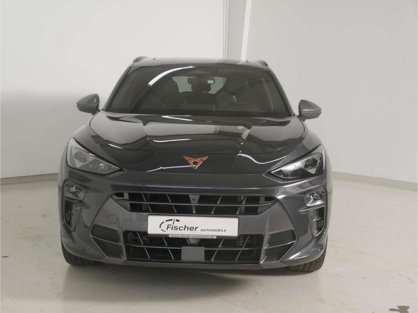 Cupra Terramar 2.0 TSI DSG HUD/AHK/PANO/NAV/Memory/RFK, миниатюра 3