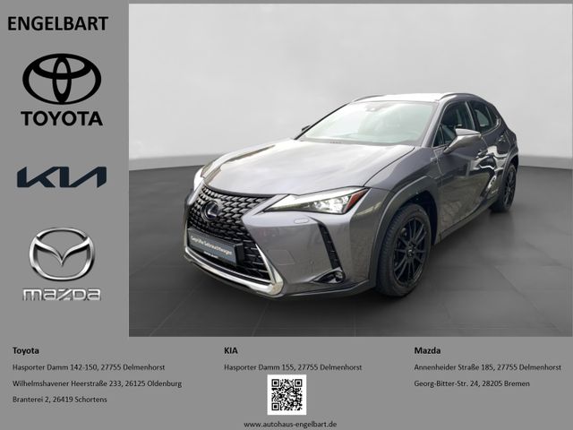 Lexus UX 250h Luxury Line Schiebedach Navigation 360° 