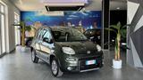 Fiat Panda 1.3 MJT 16V DPF 4x4 Climbing 62.000 k - Fiat Panda Climbing mit Diesel-Antrieb