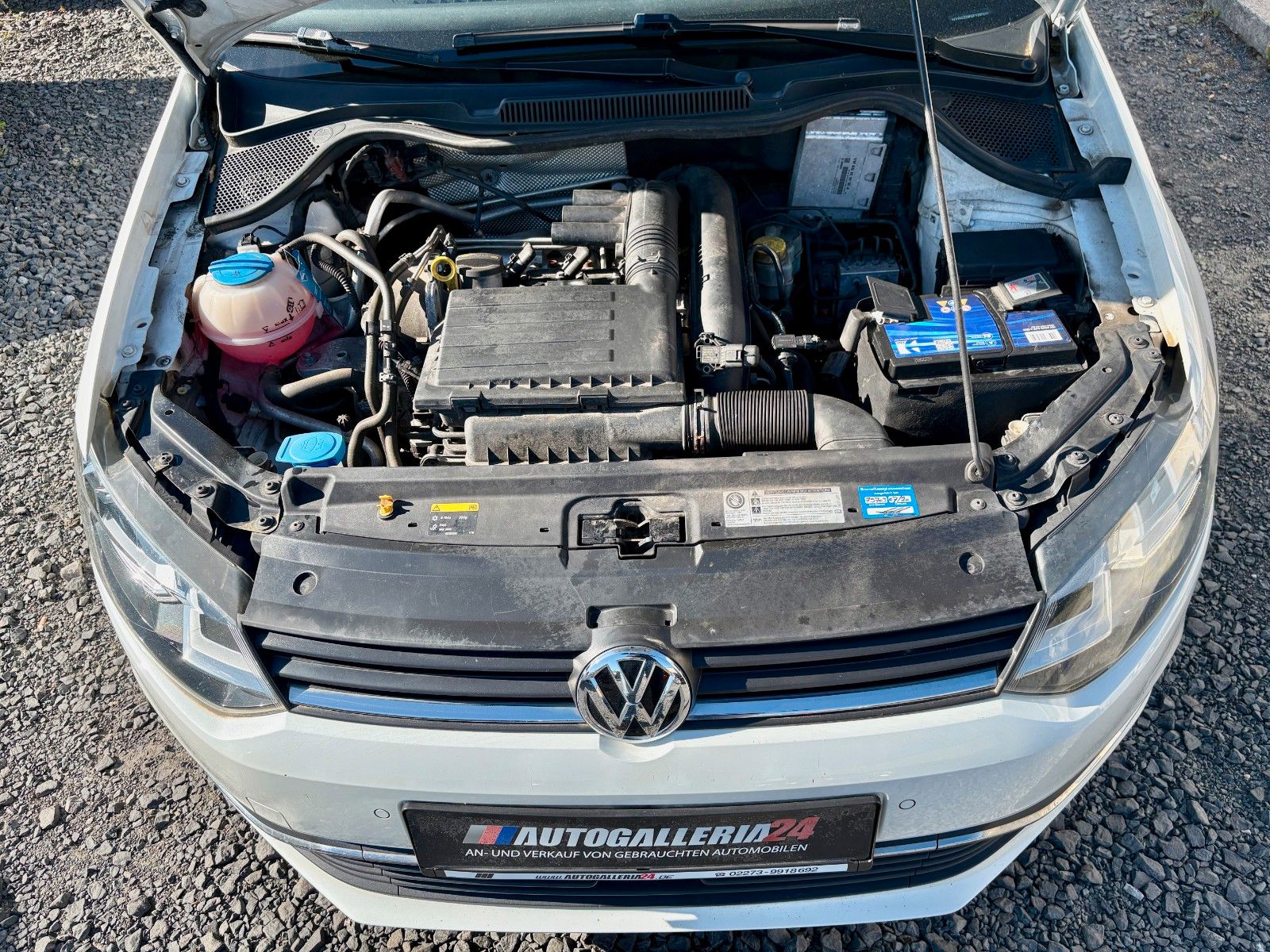 Fahrzeugabbildung Volkswagen Polo V Lounge 1.2 TSI 81kW LED Glasdach PDC Spor