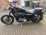 Harley-Davidson Sportster IRON 883 - Angebote entsprechen deinen Suchkriterien