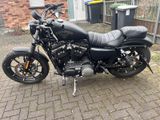 Harley-Davidson Sportster IRON 883 - Angebote entsprechen deinen Suchkriterien