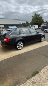 Skoda Octavia 2.0 TDI DSG Green tec Elegance Combi... - Skoda Octavia Elegance mit Diesel-Antrieb