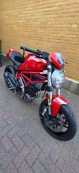 Ducati Monster 797 Plus - Ducati Monster Plus