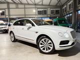 Bentley Bentayga 6.0 W12*PANO*608PS*4x4*360°*FULL - Bentley in Essen