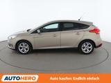 Ford Focus 1.5 EcoBoost Titanium *NAVI*TEMPO*PDC*SHZ* - Ford Focus Gebrauchtwagen in Chemnitz