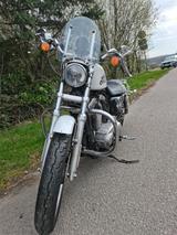 Harley-Davidson Sportster 883 XL Low  - HARLEY-DAVIDSON SPORTSTER 883 LOW