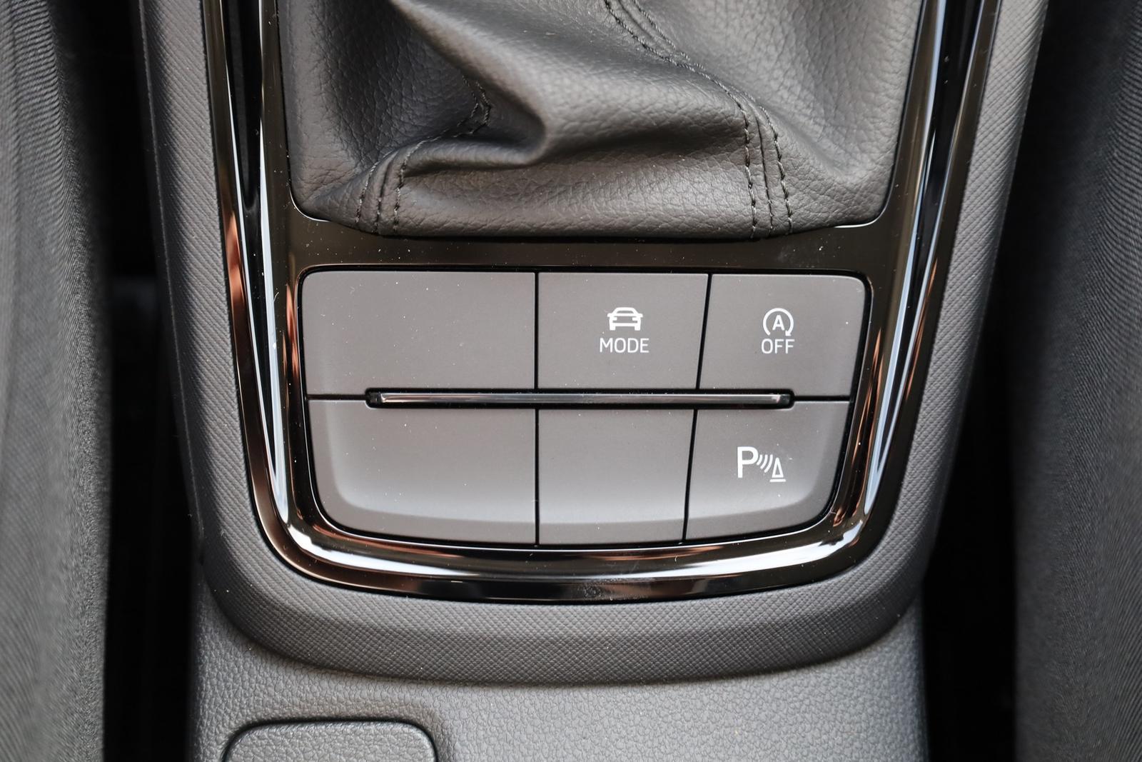 Skoda Kamiq 1.0 TSI DSG LED Kamera AHK Sitzheizung