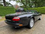 Jaguar XK8 Cabriolet Top Zustand Liebhaberfahrzeug - Jaguar XK8 aus 2000