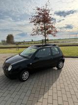 Volkswagen VW Lupo OpenAir Faltdach College 1.0 MPI r... - Volkswagen Lupo: College