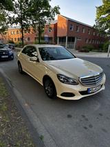 Mercedes-Benz E 220 BlueTEC 4MATIC Autom. - - Mercedes-Benz E 220: Beige