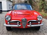 Alfa Romeo Giulia Spider 1600 veloce,  TÜV neu, H-Kennz. - Alfa Romeo Giulia: Cabrio