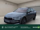 Skoda Octavia 2.0 TDI DPF Selection *LM-Felge*SHZ*LED* - Skoda Octavia Neuwagen in Bremen