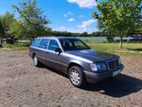 Mercedes-Benz Mercedes W124 220 TE Kombi 2. Hand - Mercedes-Benz 220 aus 1994