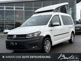 Volkswagen Caddy Maxi REIMO BMT/KAMERA/DSG/NAVI/STANDHEIZ.