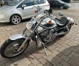 Harley-Davidson V Rod   - HARLEY-DAVIDSON 2005 V ROD