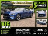 Ford Mustang 5.0 Ti-VCT V8 GT CS *ACC*beh.Lenk*Navi - Ford Mustang Jahreswagen