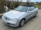 Mercedes-Benz CLK 200 Kompressor Elegance Cabrio - Mercedes-Benz CLK 200: Kompressor Elegance