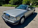 Mercedes-Benz CE 300 Cabrio,  Oldtimer H-Zulassung, Zustand 2+ - Mercedes-Benz CE-Klasse Gebrauchtwagen