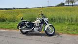 Honda Shadow VT 750 RC44 - HONDA 1998 SHADOW 750