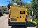 Fiat Ducato | 35.000 KM | Wohnmobil möglich - Fiat Ducato: 3.0