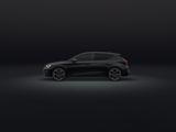 Cupra Leon VZ 2.0 TSI (300PS) DSG+FREI-KONFIGURIERBAR+ - Cupra Leon: 2.0