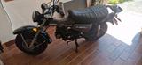 Skyteam T rex 125 - SKYTEAM MOTORRAD