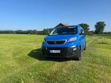 Alpincamper Peugeot Expert Alpin Camper  - Alpincamper Wohnwagen & Wohnmobile