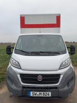 Fiat Ducato Kofferaufbau / Transporter / Lieferwagen - Lieferwagen gebraucht