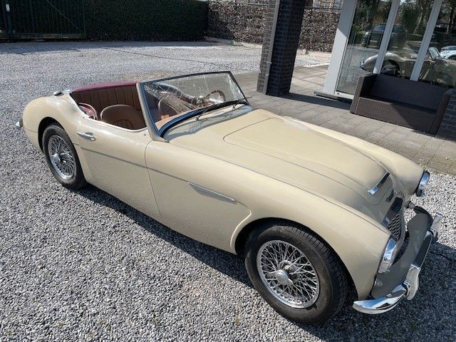Austin Healey Andere Healey 3000 Mk1 2.9cc BT7 2 +2  (Project)
