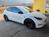 Tesla Model Y Performance Dual Motor AWD Performance