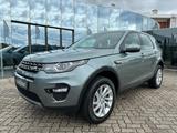 Land Rover Discovery Sport  P240 SE Winter-Paket|Panorama - Land Rover in Mannheim
