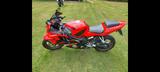 Honda CBR600F Sport - HONDA CBR 600 F