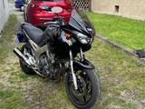 Yamaha TDM 900, RN08 - YAMAHA TDM 900