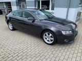 Audi A5 Sportback 2.7 TDI Xenon Shzg Temp. PDC Leder - Audi A5: 2.7