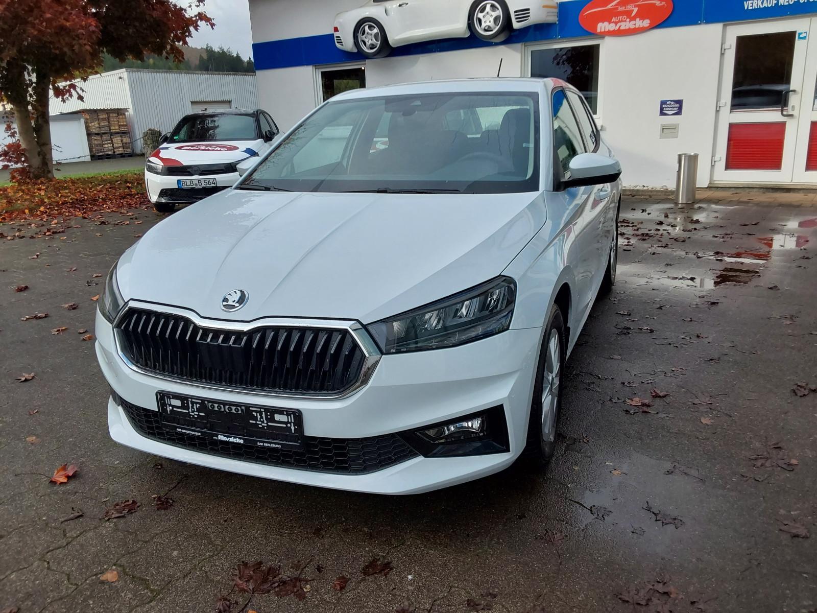 Skoda Fabia Selection 5 Jahre Herstellergarantie