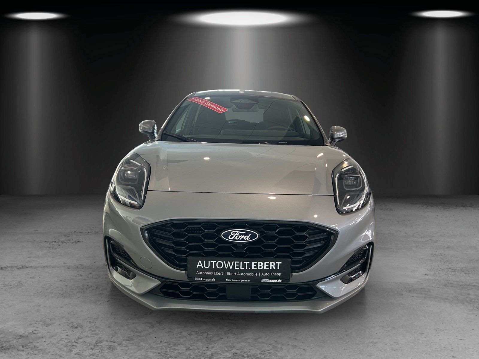 Fahrzeugabbildung Ford Puma ST Line,FGS 3.-5 Jahr
