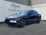 Alfa Romeo Giulia MY24 VELOCE LED NAVI SHZG LHZG 19'' KAMER - Alfa Romeo in Duisburg