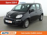 Fiat Panda 1.2 Easy*PDC*KLIMA*DAB*1.HAND*GARANTIE* - Fiat Panda: Schwarz