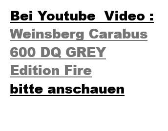 Weinsberg CaraBus 600 DQ GREY Edition Fire+HUBBETT BUG 4xP