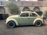 Volkswagen Käfer