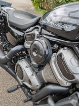 Harley-Davidson Nighster 975